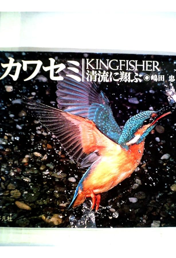 Amazon.co.jp: カワセミ: 青い鳥見つけた (日本の野鳥) : 嶋田 忠