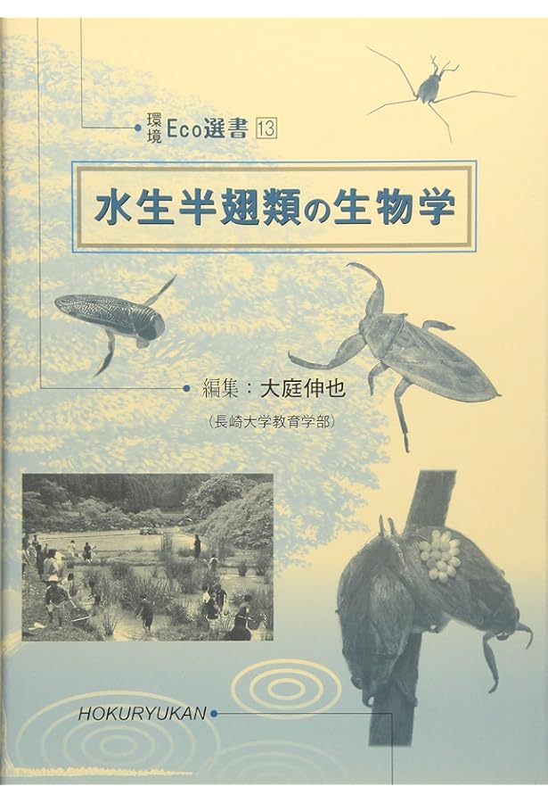 研究者向き　ゲンゴロウセット　ゲンゴロウ以外も含む 研究者向き ゲンゴロウセット ゲンゴロウ以外も含む 研究者向き