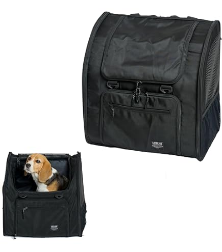 犬用キャリーバッグ　韓国　little comfo インナーメッシュ付き Amazon.co.jp: little comfo リトルコンフォ gold メッシュバック