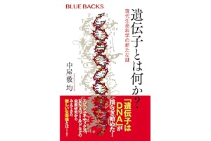 遺伝子とは何か？　現代生命科学の新たな謎 (ブルーバックス)