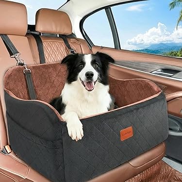 Amazon.co.jp 最新リリース: 犬用ベッド・クッション の新着ランキング