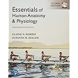 Essentials of Human Anatomy & Physiology, Global Edition