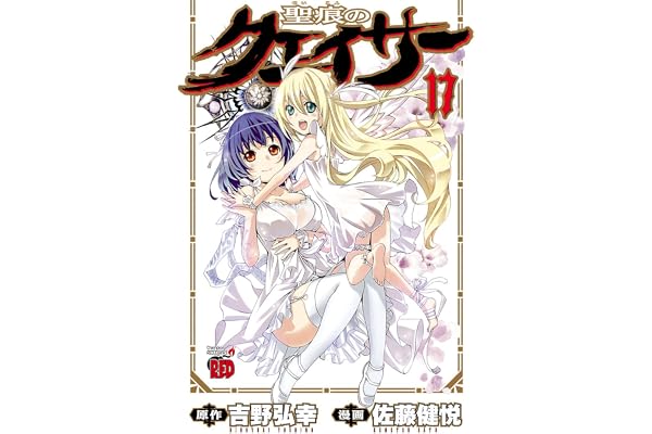 聖痕のクェイサー　17 (チャンピオンREDコミックス)