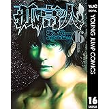 孤高の人 16 (ヤングジャンプコミックスDIGITAL)