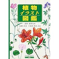 81lAif5YlSL._AC_UL210_SR210,