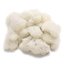 81lB6cYWzTL._AC_UL210_SR210,