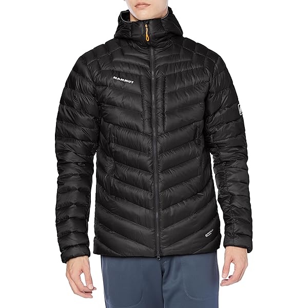 Amazon | [マムート] エクセロン インサレーション フーデッド