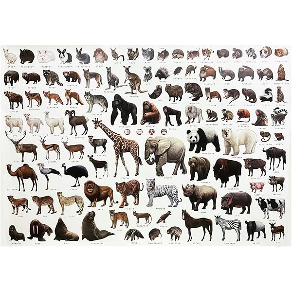 動物 シリーズサファリ・・ほか非売品 ポスター10本セット