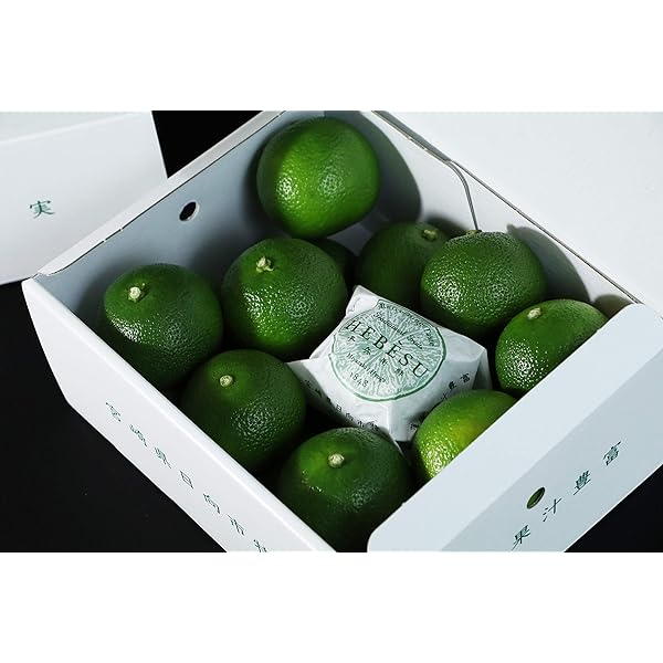 宮崎県産 へべす 5キロ M〜Lサイズ B品 ☆訳あり(傷&黄色)☆露地栽培へべす 約5キロ | 果物/香酸柑橘