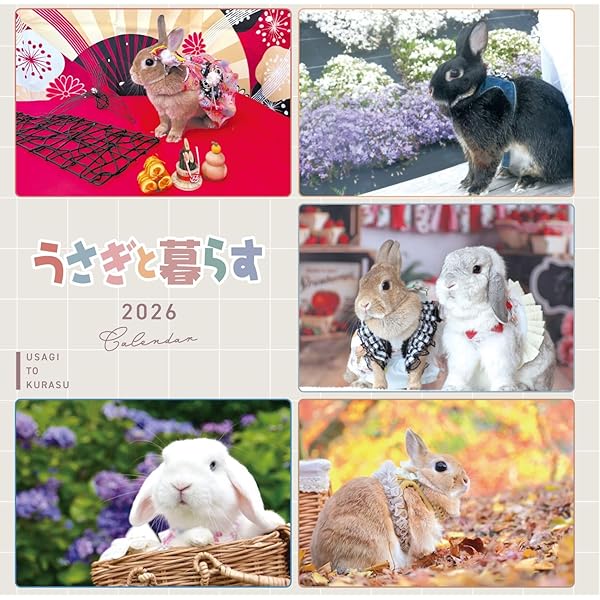 うさぎと暮らす No97（2025年Autumn） | うさぎと暮らす |本