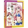 バカとテストと召喚獣にっ！　第1巻 [Blu-ray]