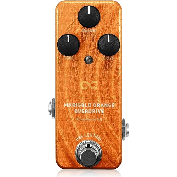 Amazon.co.jp: ワンコントロール One Control FLUORESCENT ORANGE AIAB