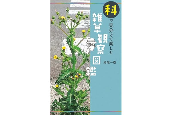 科で見分けて楽しむ 雑草観察図鑑