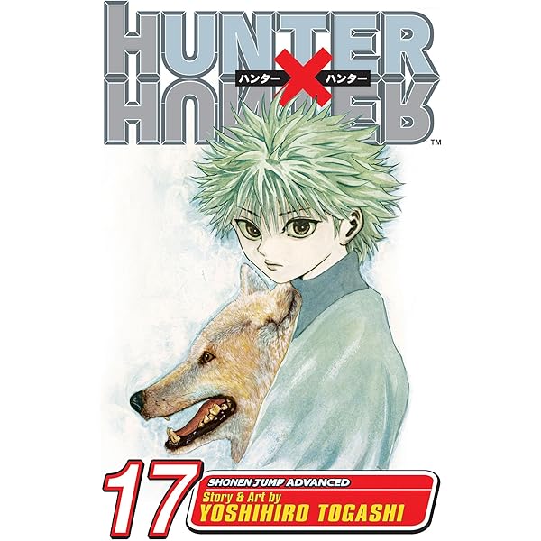 Hunter x Hunter, Vol. 19 (Volume 19) : Togashi, Yoshihiro: Amazon