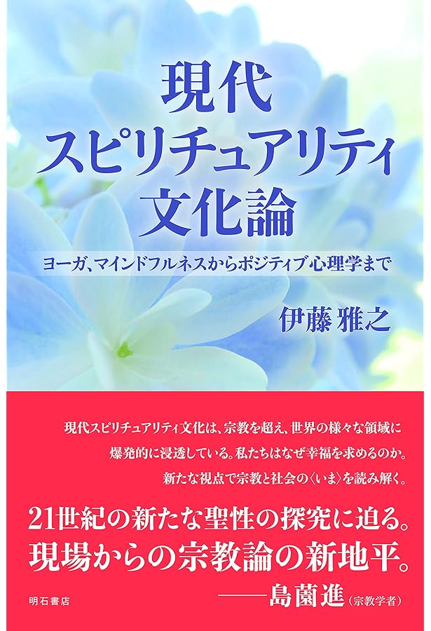 Amazon.co.jp: ポップ・スピリチュアリティ: メディア化された宗教性