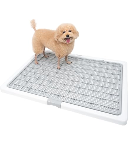 アカナ ドッグフード パピーラージブリード 1個 アカナ パピーラージブリードレシピ 11.4kg - ペットフード通販 PETS8