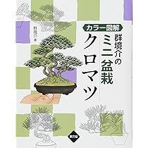図解盆栽早わかり 小林 高 図解盆栽早わかり(小林高) / 古本倶楽部株式会社 / 古本、中古本