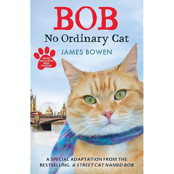 Amazon.co.jp: Street Cat Named Bob [Region 2] : DVD