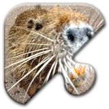 Jigsaw Puzzles Free Game - Chapter 31