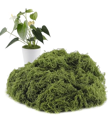 Muschio Spagnolo Naturale FloraCraft – 113 G (4 Oz), Per Decorazioni E Terrari