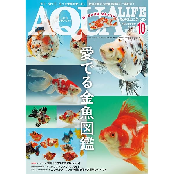 月刊アクアライフ 2025年10月号 ポリプテルス GoGoGo ☆綴じ込み付録