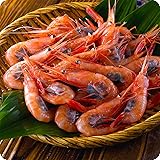 子持ち越前甘えび500g/約40尾入り【エビ】【えび】【海老】【あまえび】【アマエビ】【甘エビ】