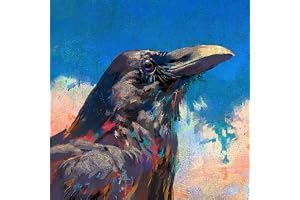 烏 - Raven