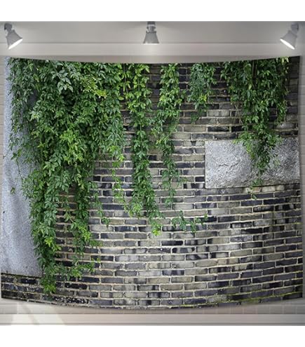 カリギュラ　Caligula スリムタペストリー Amazon.co.jp: Caligula -カリギュラ- ソーン スリム