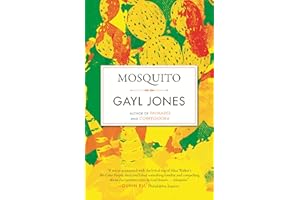 Mosquito (Celebrating Black Women Writers)