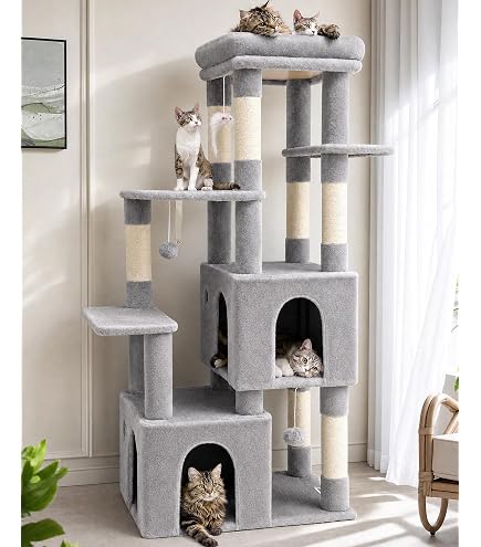 Amazon | Globlazer S52 キャットタワー 多頭飼い 大型猫用 低い 安定
