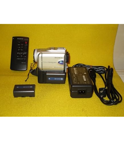 miniDVのダビングに！ Canon ビデオカメラ DM-FV M30 1 ビデオカメラ 