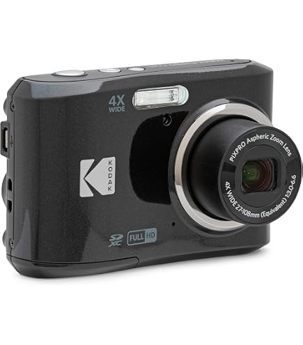 Amazon | Panasonic Lumix DMC-FP1 12.1 MP Digital Camera with 4x