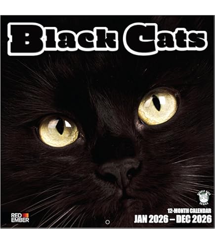 Carousel , Maine Coon Cats 2026 Wall Calendar - View #7