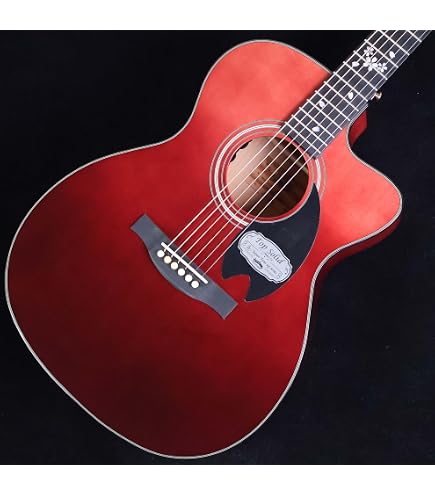 Amazon | Headway HJ-OSAMURAISAN II アコースティックギター初心者12