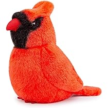 鳥の可愛いぬいぐるみ(TAFT)　非売品 81fTYdWTAKL.jpg_BO30,255,255,