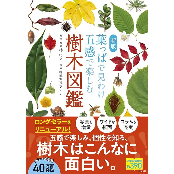 花と葉で見わける野草 | 有沢重雄, 亀田 龍吉, 近田 文弘 |本 | 通販
