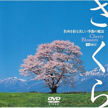 81mAyPy8K6L._AC_UL375_SR375,