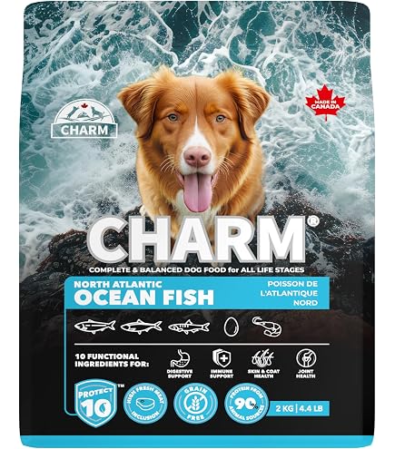 Amazon.co.jp: CHARM フリーランチキンドッグフード 2kg : ペット用品