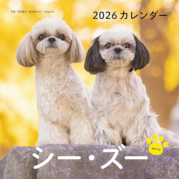 0歳からシニアまで シー・ズーとのしあわせな暮らし方 | Wan編集部