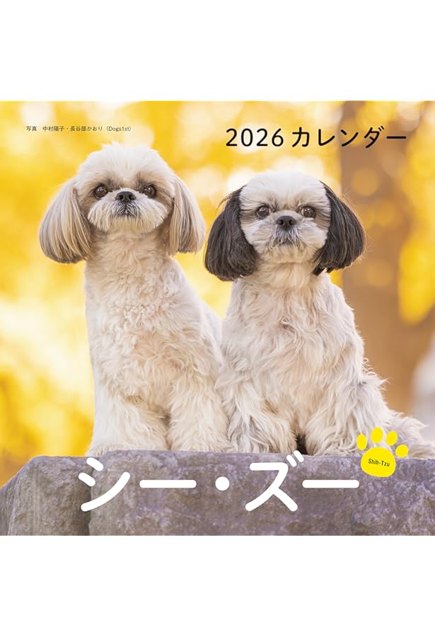 0歳からシニアまで シー・ズーとのしあわせな暮らし方 | Wan編集部