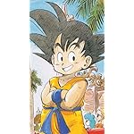 ドラゴンボール XFVGA(480×854)壁紙 孫悟空 ドラゴンボール XFVGA(480×854)壁紙 孫悟空