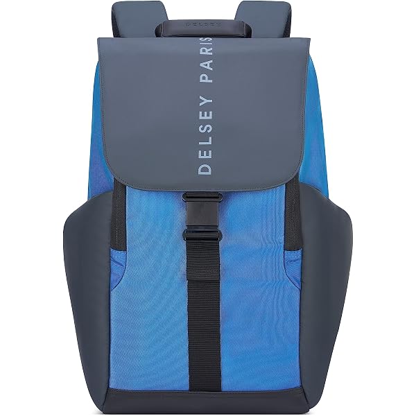Amazon | [DELSEY PARIS] [デルセー] リュック SECURFLAP セキュ 