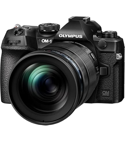 OLYMPUS EP-1 ミラーレス一眼カメラ 楽天市場】オリンパス ミラーレス一眼カメラ PEN E-P7 レンズキット 14