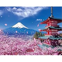 Amazon | Eiialerm大人クロスステッチキットさくら富士山タワー11CT