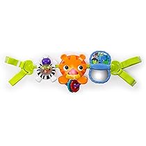 Bright Starts Take Along Carrier Toy 