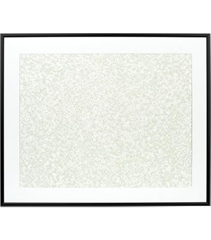 Amazon | FUJICOLOR アルミ額縁 YA-6 全紙 ブラック 506772 | 額縁