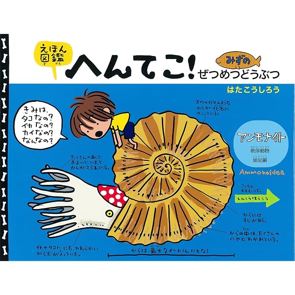 Amazon.co.jp: 石の中のうずまき アンモナイト (たくさんのふしぎ傑作