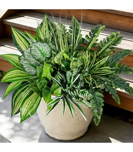 Amazon｜人工観葉植物 フェイクグリーン 屋外仕様 ゴールドクレスト