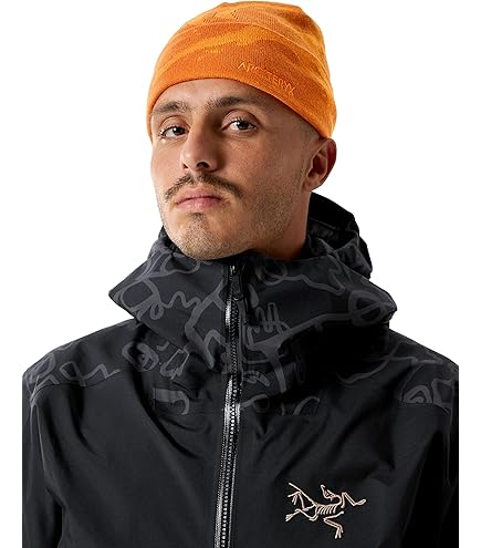 Amazon.co.jp: Arc'teryx バード ヘッド トーク Bird Head Toque