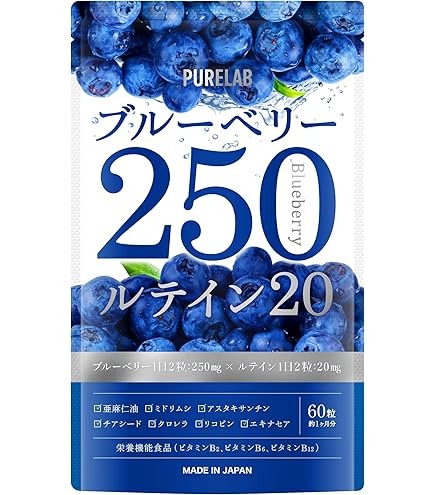 19☆新品・DHC ブルーベリーエキス ６０日分×６袋